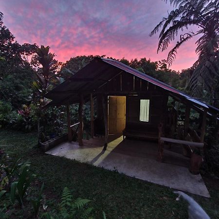 Cabana Maquique - San Vito Villa San Ramon  ภายนอก รูปภาพ