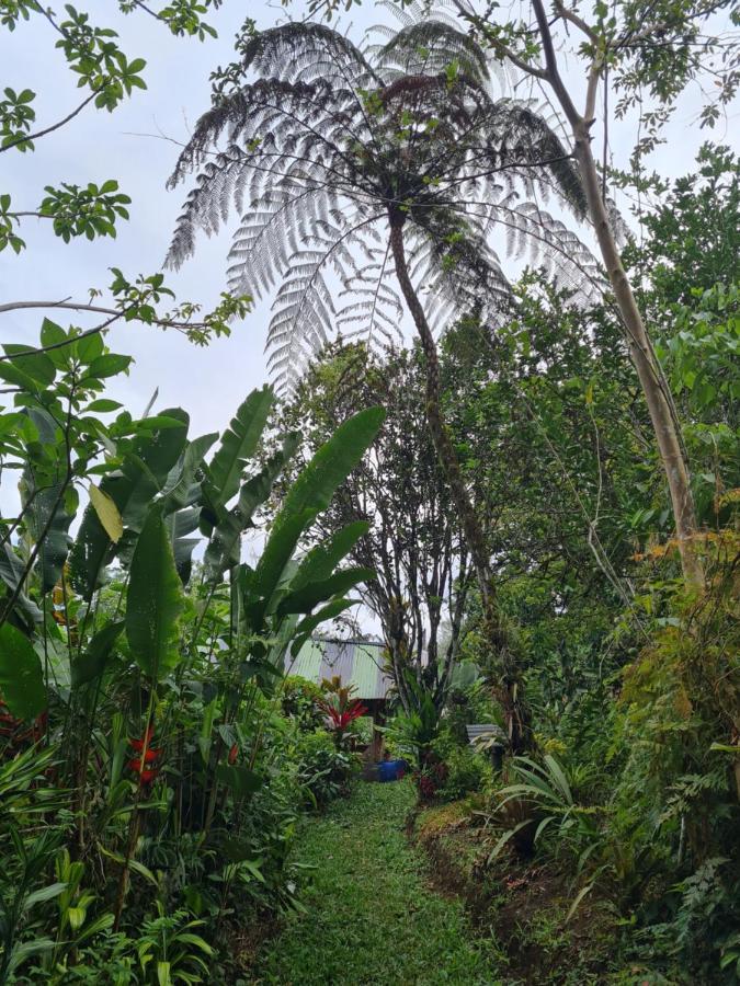 Cabana Maquique - San Vito Villa San Ramon  ภายนอก รูปภาพ