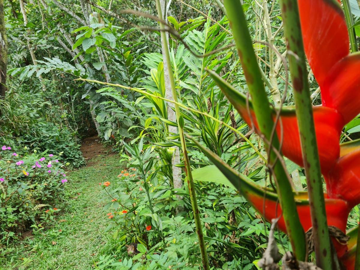 Cabana Maquique - San Vito Villa San Ramon  ภายนอก รูปภาพ