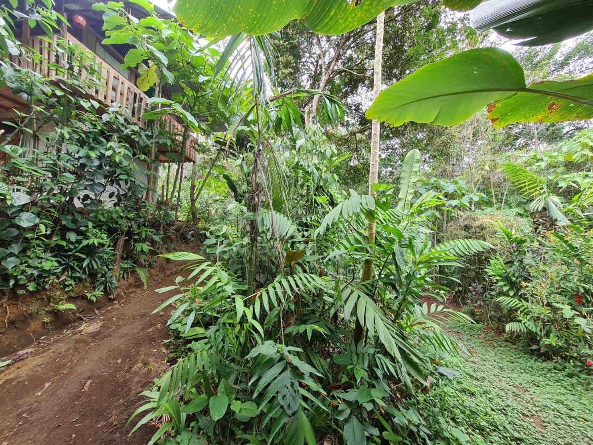 Cabana Maquique - San Vito Villa San Ramon  ภายนอก รูปภาพ