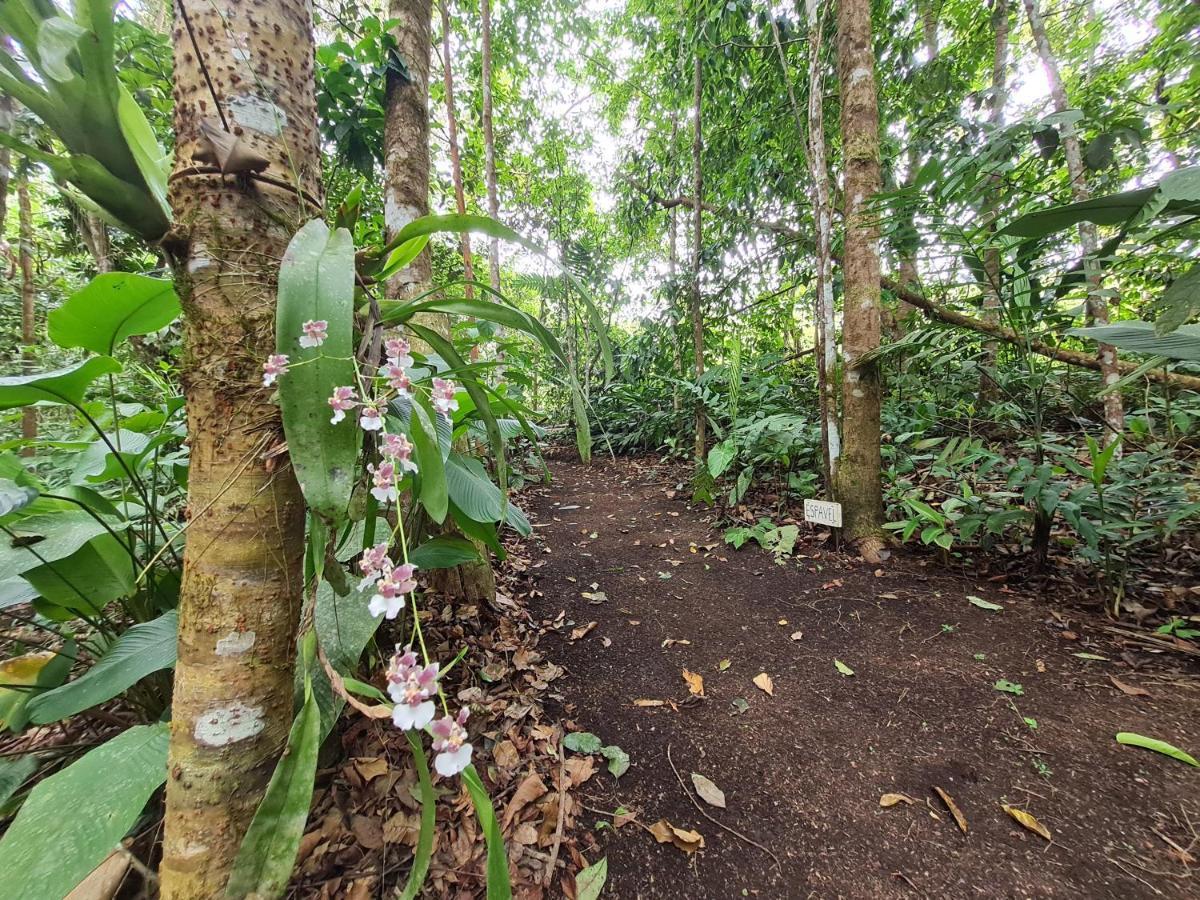 Cabana Maquique - San Vito Villa San Ramon  ภายนอก รูปภาพ