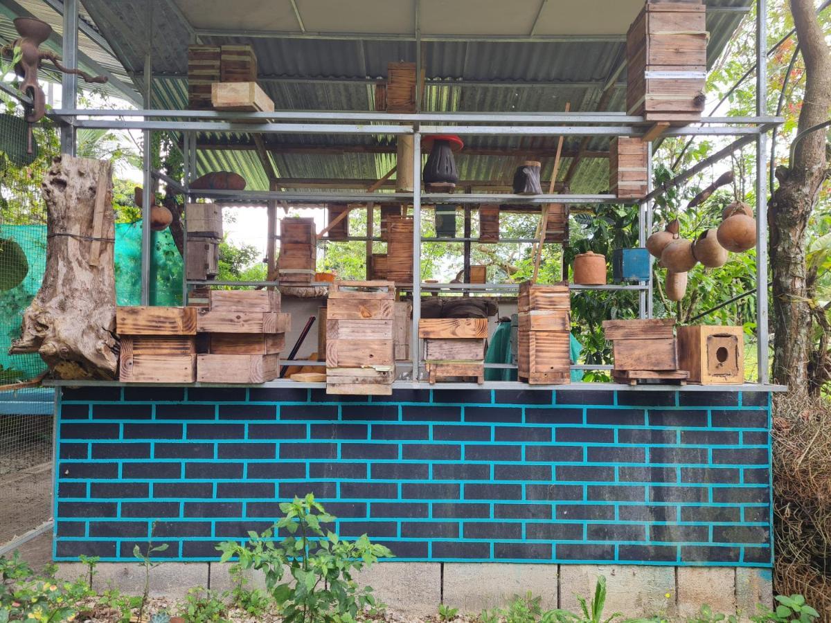 Cabana Maquique - San Vito Villa San Ramon  ภายนอก รูปภาพ