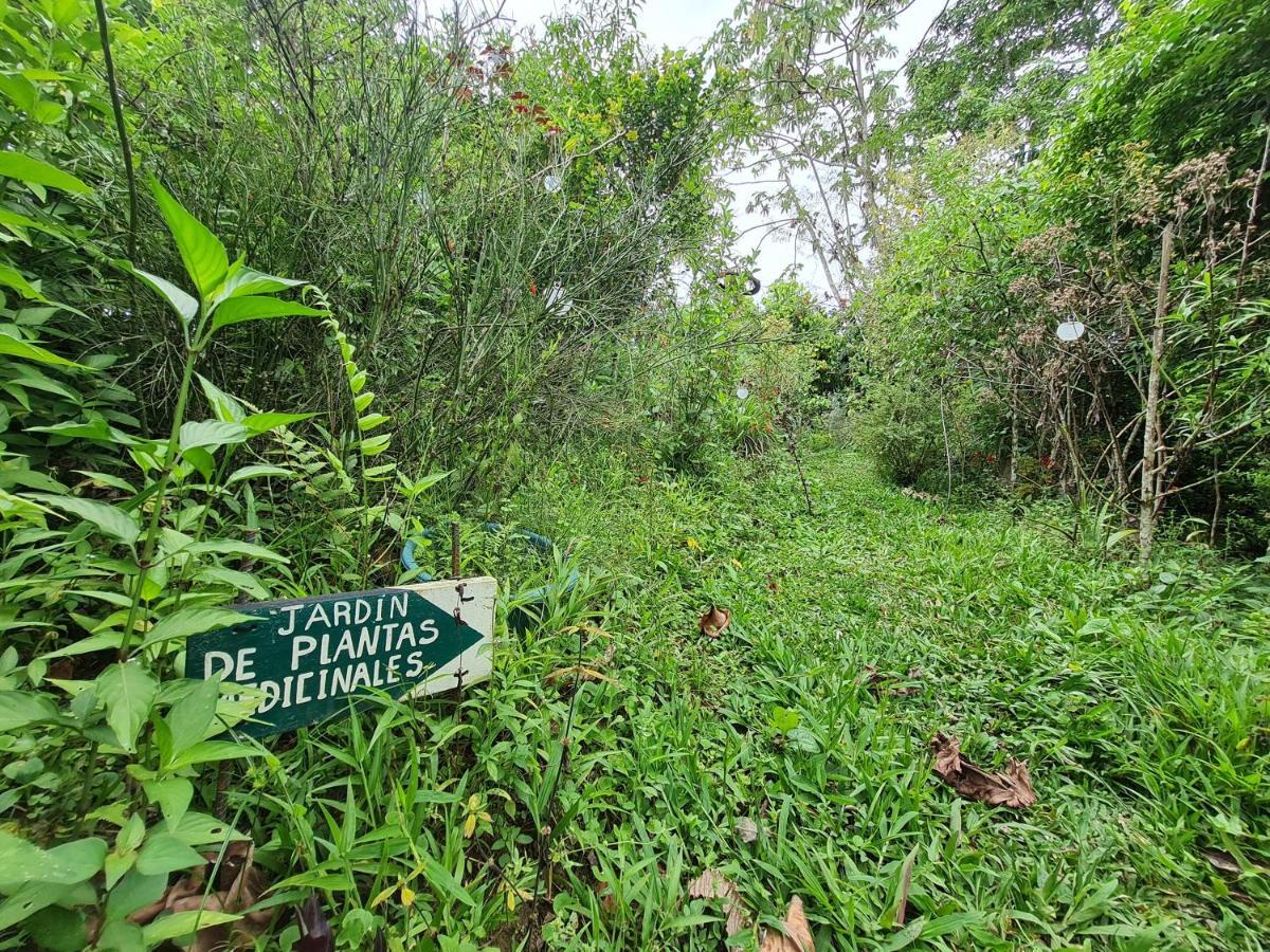 Cabana Maquique - San Vito Villa San Ramon  ภายนอก รูปภาพ